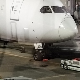 写真の種類:搭乗機(外観)