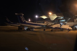 写真の種類:到着空港での写真