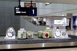 写真の種類:到着空港での写真