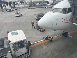 写真の種類:搭乗機(外観)