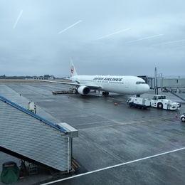 写真の種類:出発空港での写真