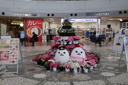 写真の種類:出発空港での写真