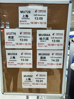 写真の種類:出発空港での写真
