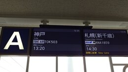 写真の種類:出発空港での写真