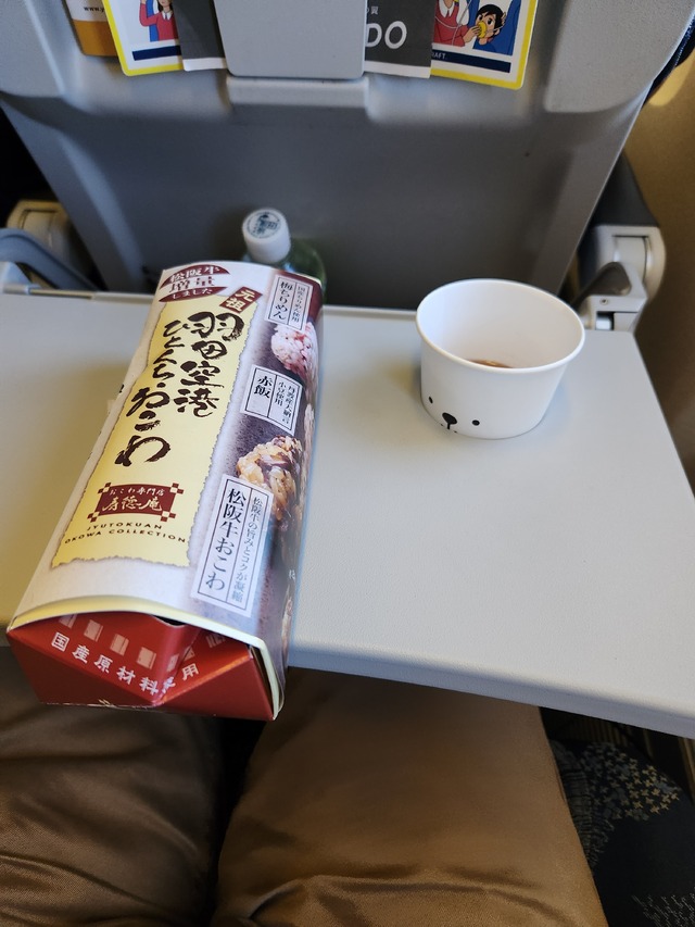 HD31の搭乗レビュー写真