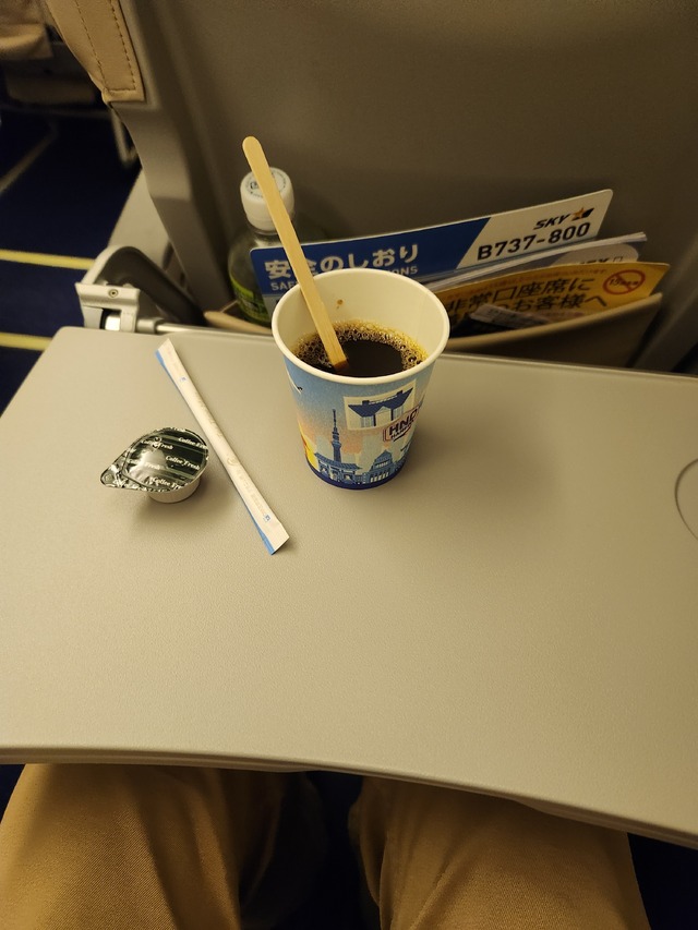 BC729の搭乗レビュー写真