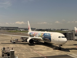 写真の種類:搭乗機(外観)