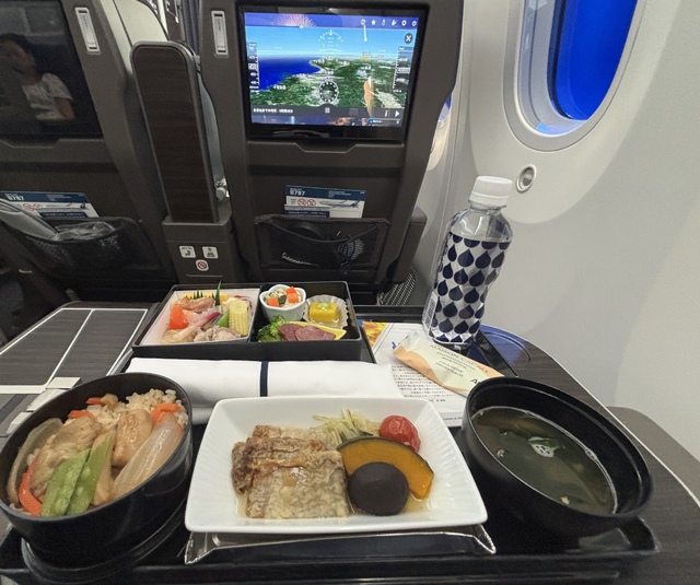 オークランド→ブエノスアイレス(エセイサ) フライト(飛行機