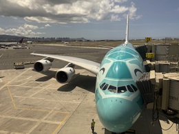 ハぁ～いサイ ANA エアバス A380 フライングホヌ 2号機カイ ハぁ～いサイ 様専用ANA エアバス A380 フライングホヌ 2号機