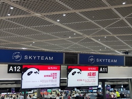 写真の種類:出発空港での写真